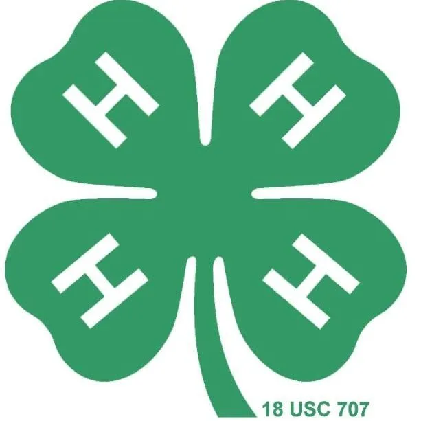 thumbnail for publication: My Senior 4-H Project Report
